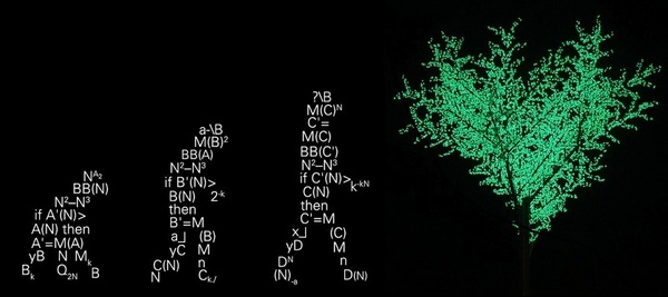 201303_bc61mathevolut
