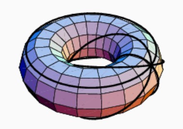 201306_bc7toruscircles