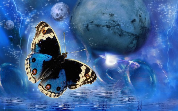 201308_bc7butterfly